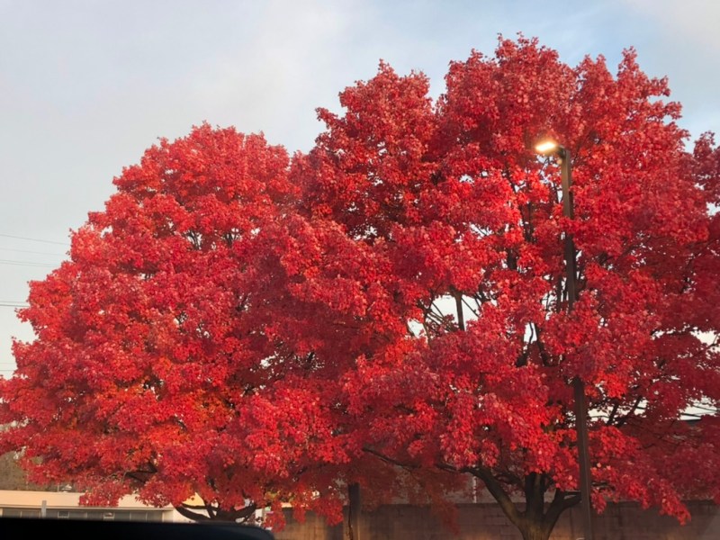 A Perfect Fall&nbsp;Day